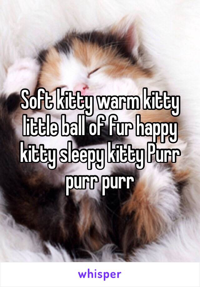 Soft kitty warm kitty little ball of fur happy kitty sleepy kitty Purr purr purr