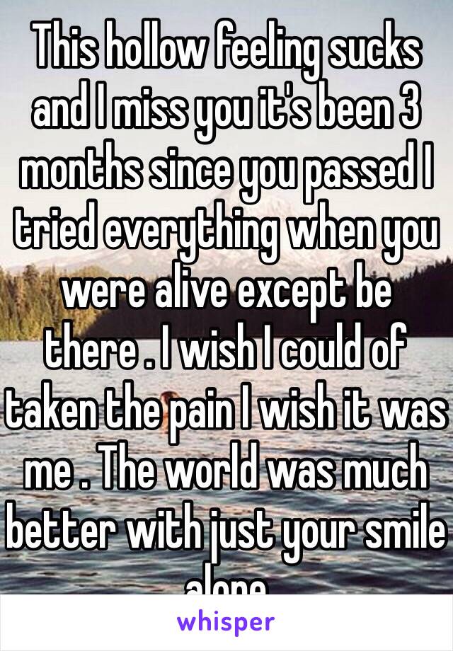 This hollow feeling sucks and I miss you it's been 3 months since you passed I tried everything when you were alive except be there . I wish I could of taken the pain I wish it was me . The world was much better with just your smile alone