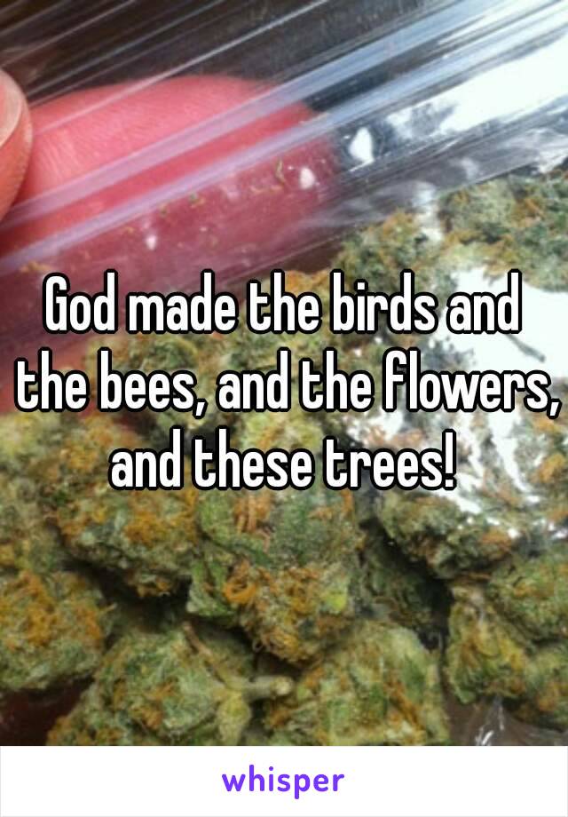 God made the birds and the bees, and the flowers, and these trees! 