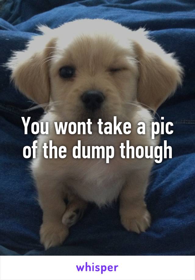 You wont take a pic of the dump though