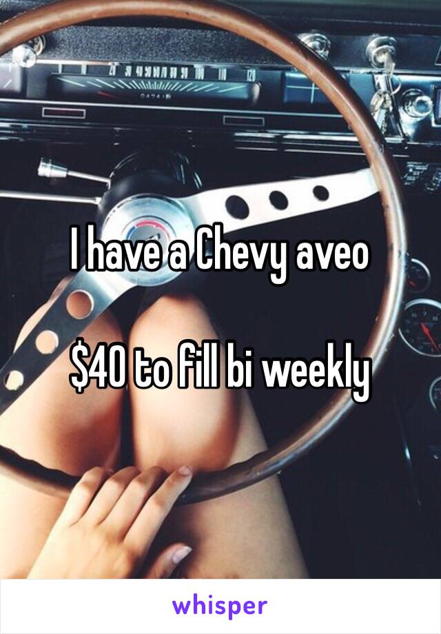 I have a Chevy aveo

$40 to fill bi weekly 