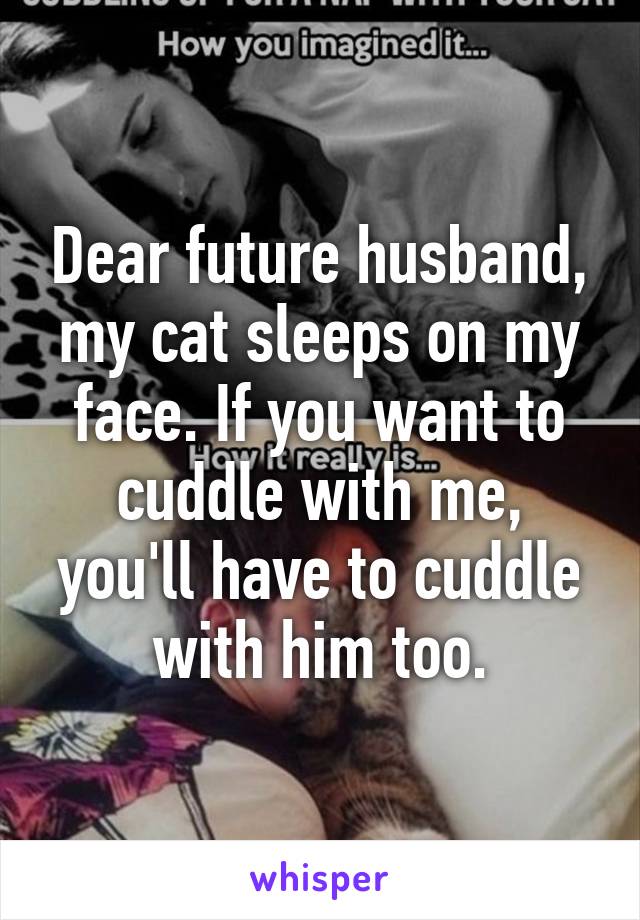 Dear future husband, my cat sleeps on my face. If you want to cuddle with me, you'll have to cuddle with him too.