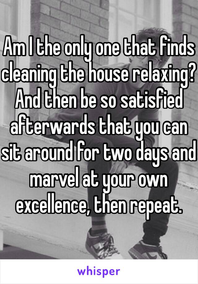 Am I the only one that finds cleaning the house relaxing? And then be so satisfied afterwards that you can sit around for two days and marvel at your own excellence, then repeat.