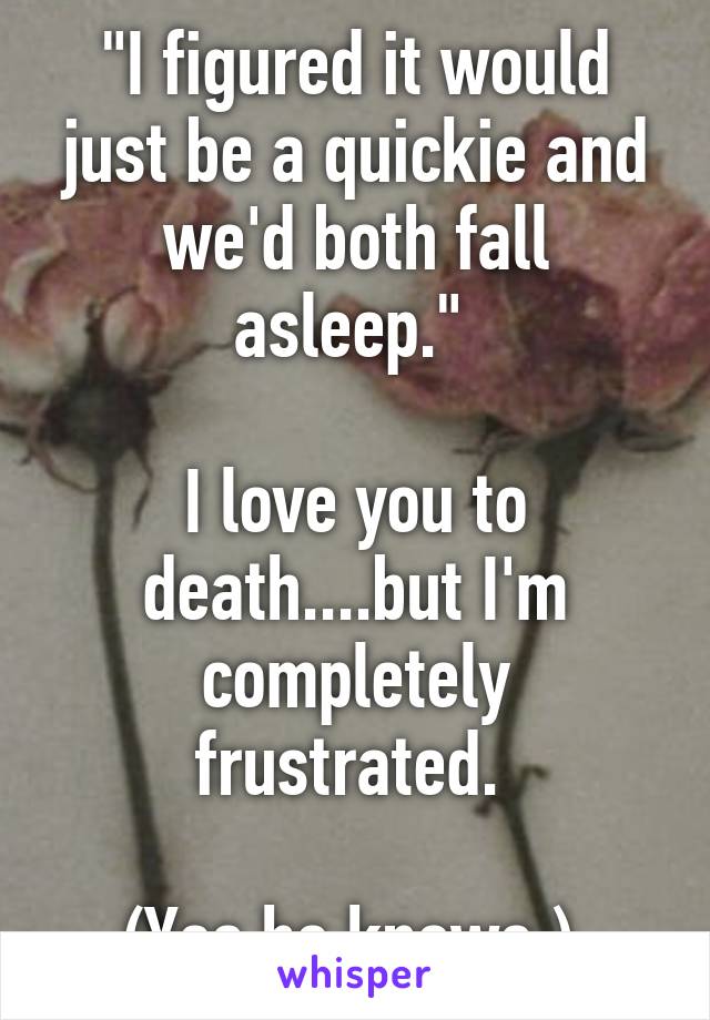 "I figured it would just be a quickie and we'd both fall asleep." 

I love you to death....but I'm completely frustrated. 

(Yes he knows.) 