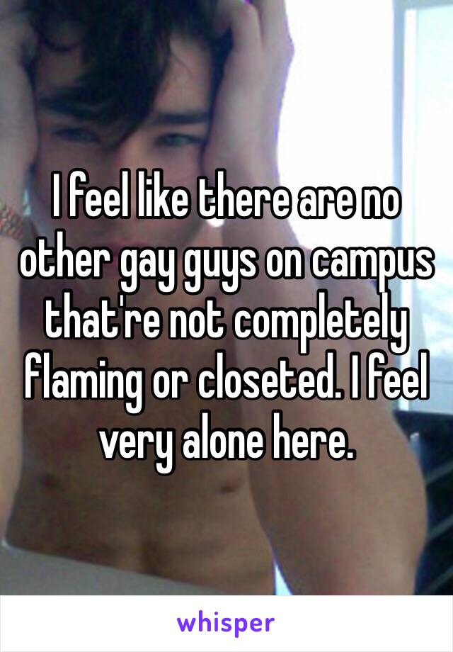 I feel like there are no other gay guys on campus that're not completely flaming or closeted. I feel very alone here.