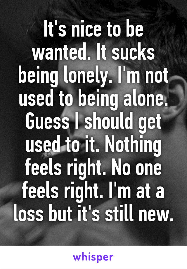 It's nice to be wanted. It sucks being lonely. I'm not used to being alone. Guess I should get used to it. Nothing feels right. No one feels right. I'm at a loss but it's still new. 