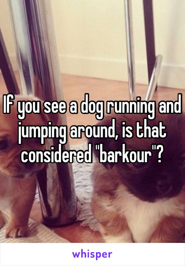 If you see a dog running and jumping around, is that considered "barkour"?