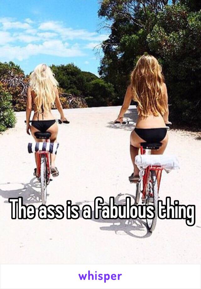 The ass is a fabulous thing