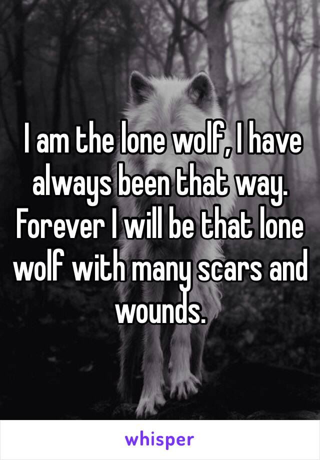  I am the lone wolf, I have always been that way. Forever I will be that lone wolf with many scars and wounds.