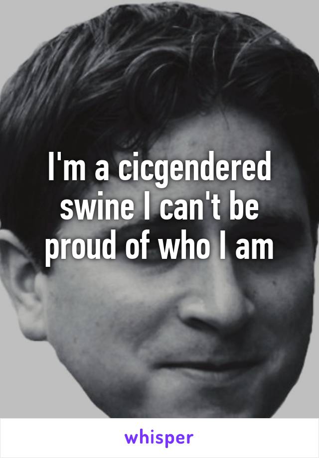 I'm a cicgendered swine I can't be proud of who I am
