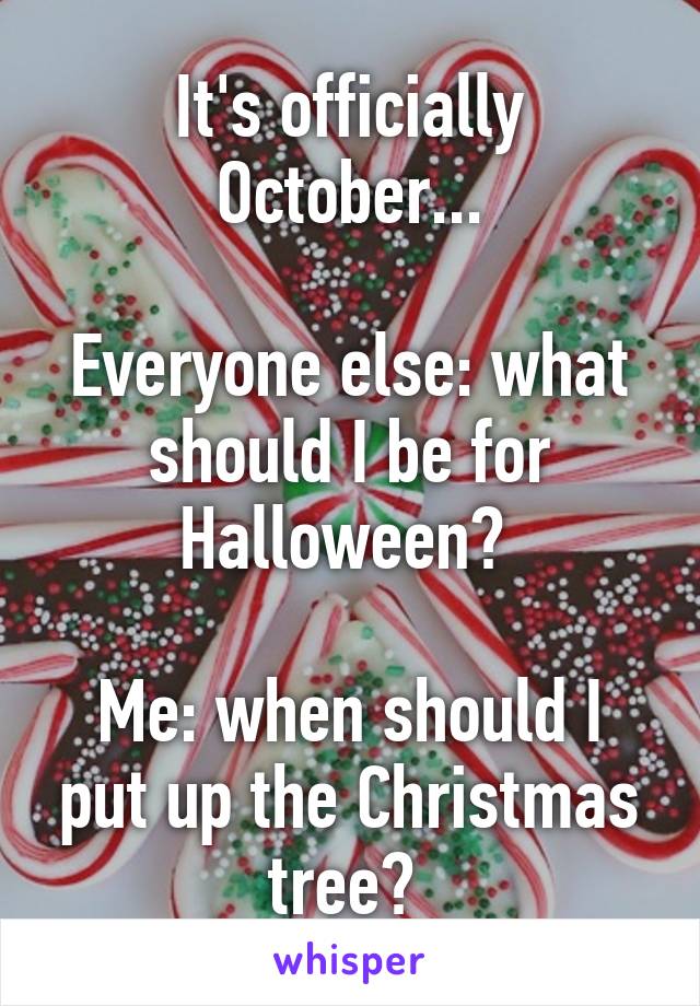 It's officially October...

Everyone else: what should I be for Halloween? 

Me: when should I put up the Christmas tree? 