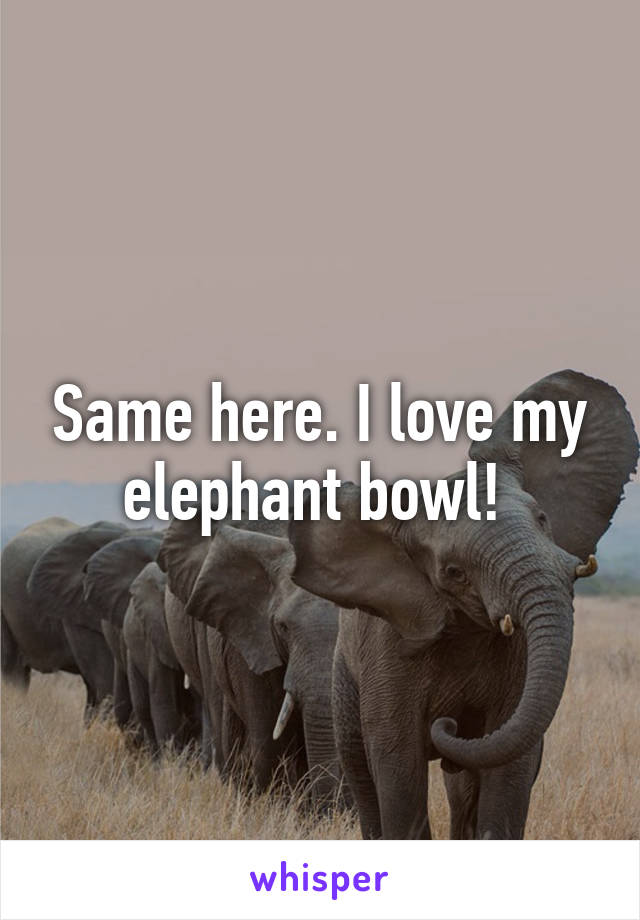 Same here. I love my elephant bowl! 