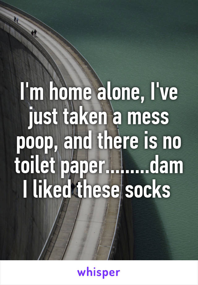 I'm home alone, I've just taken a mess poop, and there is no toilet paper.........dam I liked these socks 