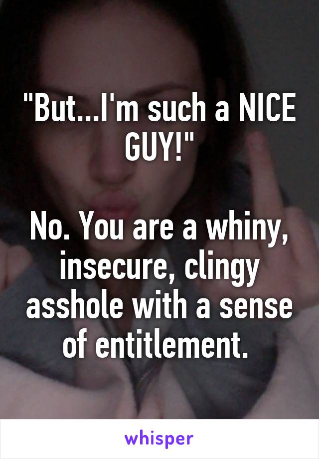 "But...I'm such a NICE GUY!"

No. You are a whiny, insecure, clingy asshole with a sense of entitlement. 