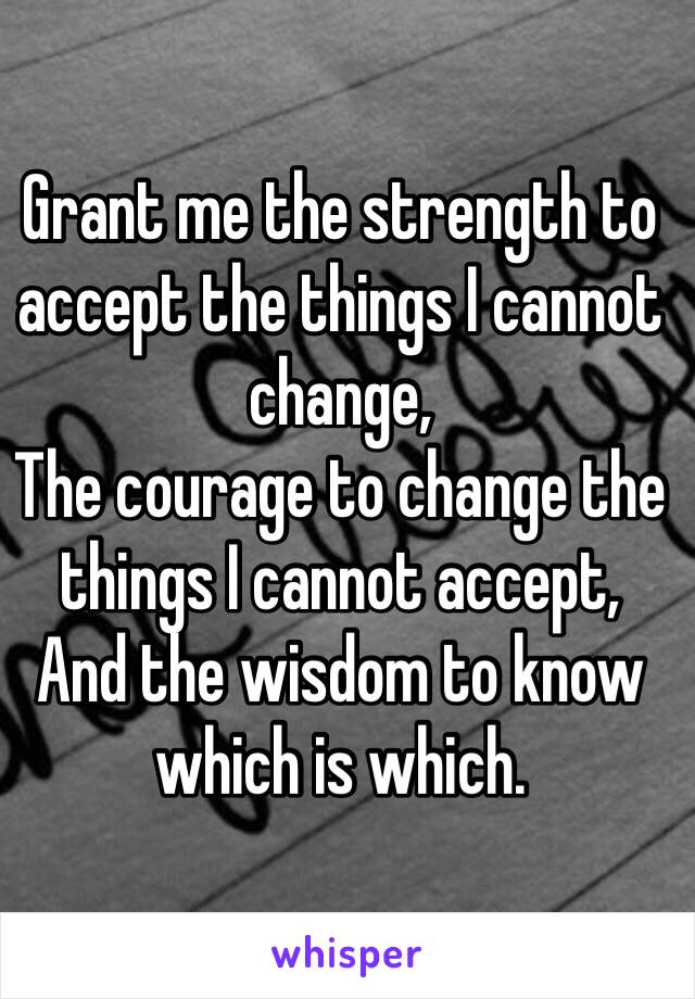 Grant me the strength to accept the things I cannot change,
The courage to change the things I cannot accept,
And the wisdom to know which is which.