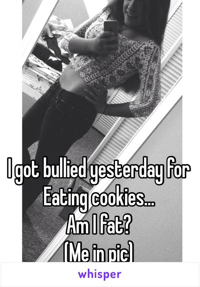 I got bullied yesterday for 
Eating cookies...
Am I fat? 
(Me in pic)