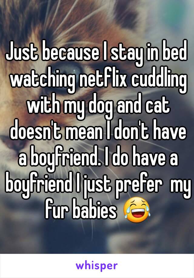 Just because I stay in bed watching netflix cuddling with my dog and cat doesn't mean I don't have a boyfriend. I do have a boyfriend I just prefer  my fur babies 😂