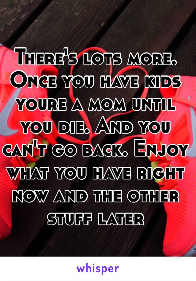 There's lots more. Once you have kids youre a mom until you die. And you can't go back. Enjoy what you have right now and the other stuff later