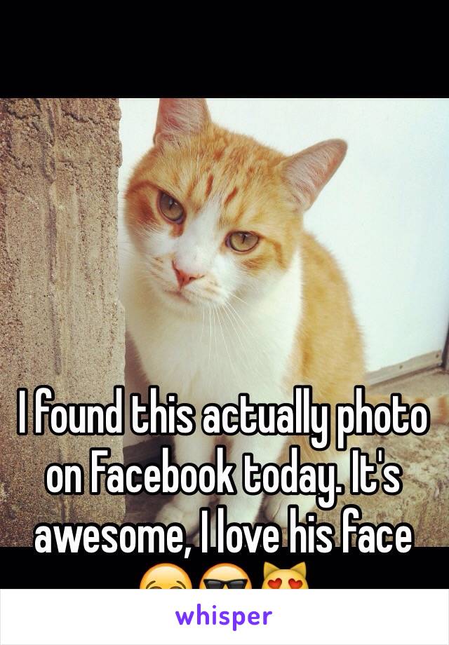 I found this actually photo on Facebook today. It's awesome, I love his face 😂😎😻