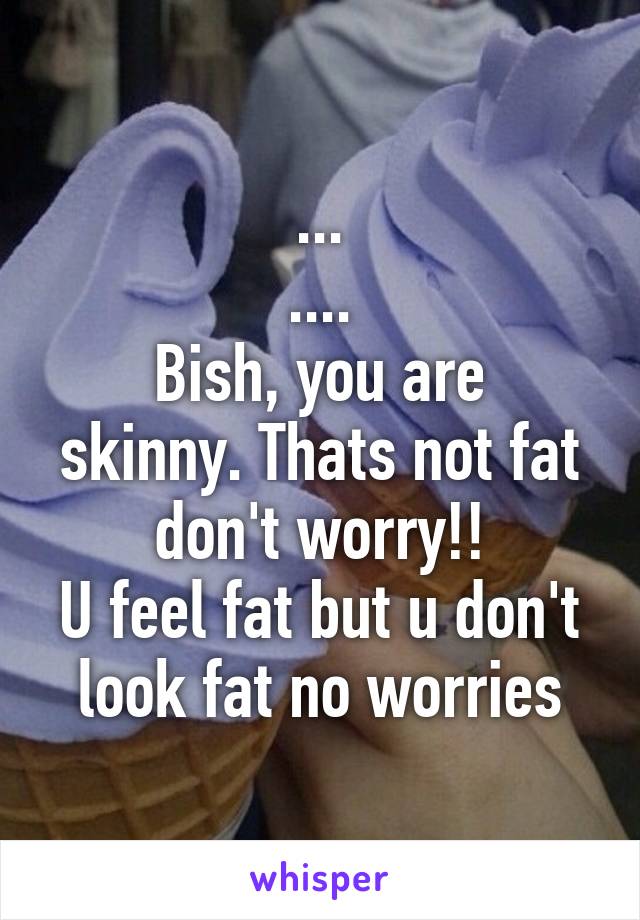 ...
....
Bish, you are skinny. Thats not fat don't worry!!
U feel fat but u don't look fat no worries