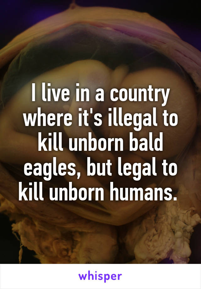 I live in a country where it's illegal to kill unborn bald eagles, but legal to kill unborn humans. 