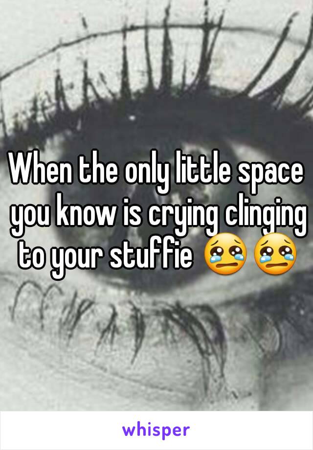 When the only little space you know is crying clinging to your stuffie 😢😢