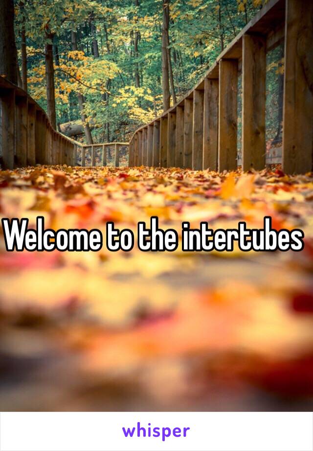 Welcome to the intertubes