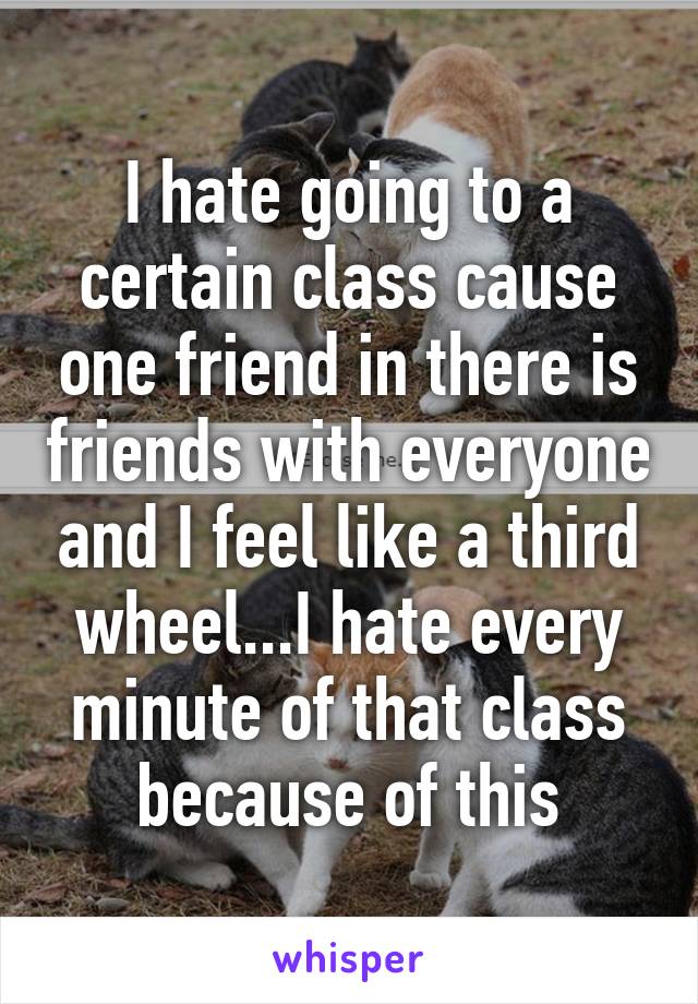 I hate going to a certain class cause one friend in there is friends with everyone and I feel like a third wheel...I hate every minute of that class because of this