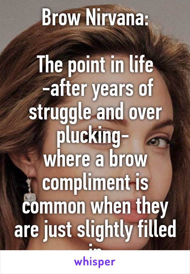 Brow Nirvana:

The point in life
 -after years of struggle and over plucking- 
where a brow compliment is common when they are just slightly filled in