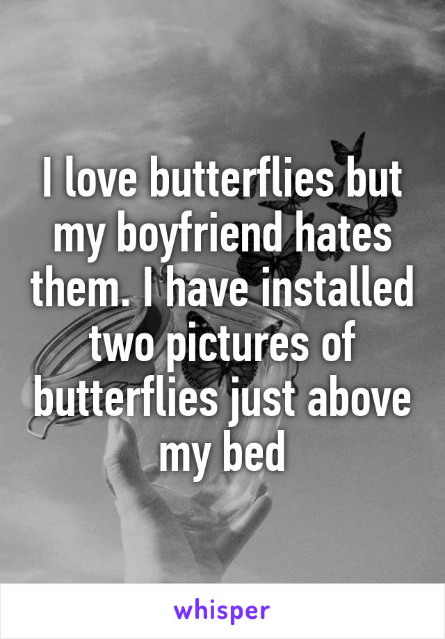 I love butterflies but my boyfriend hates them. I have installed two pictures of butterflies just above my bed