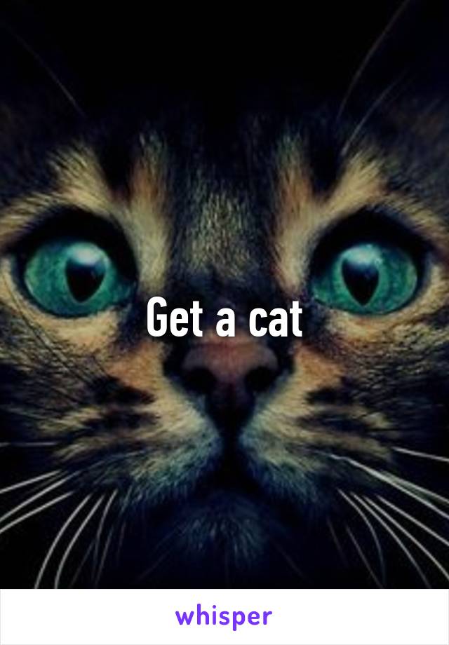 Get a cat