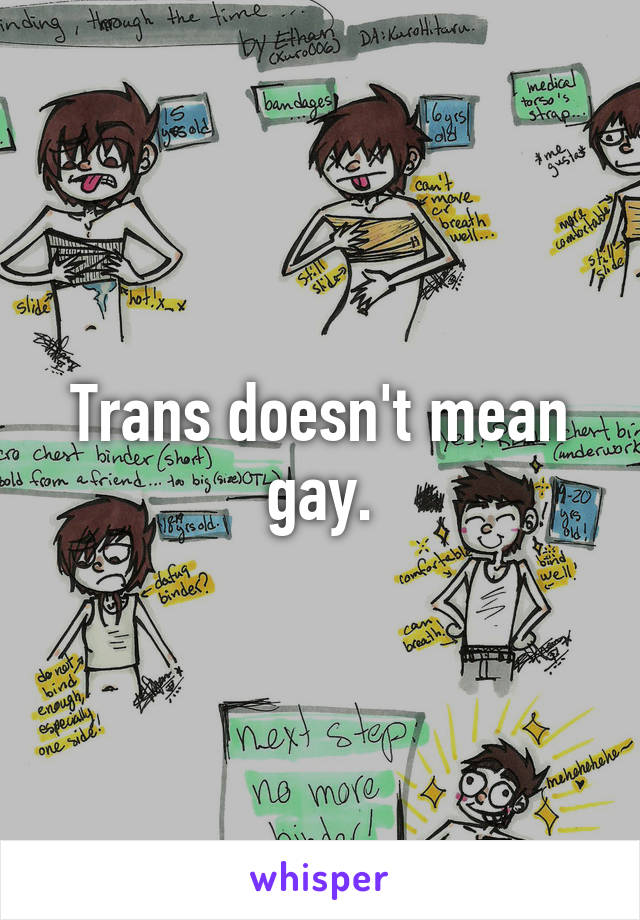 Trans doesn't mean gay.