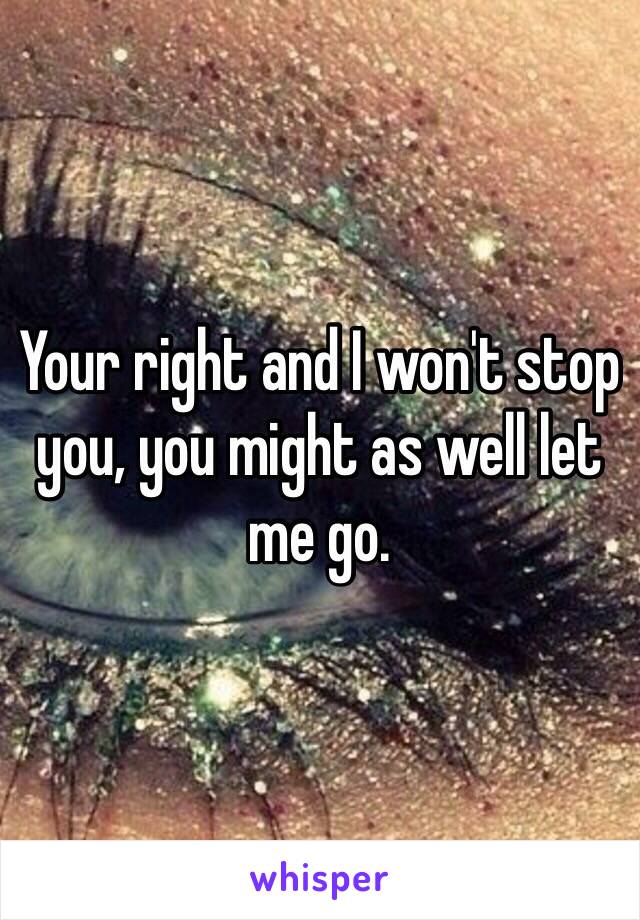 Your right and I won't stop you, you might as well let me go. 