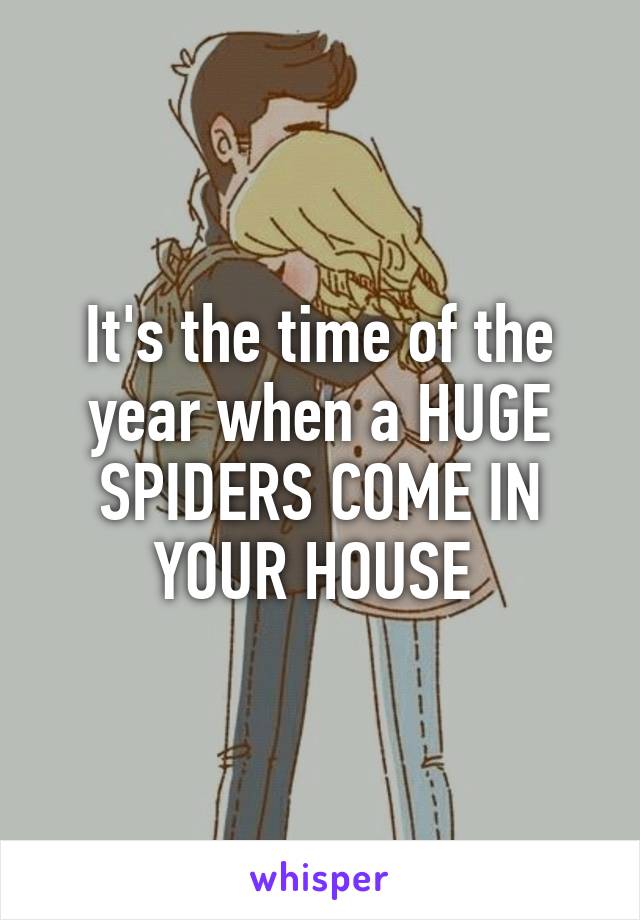 It's the time of the year when a HUGE SPIDERS COME IN YOUR HOUSE 