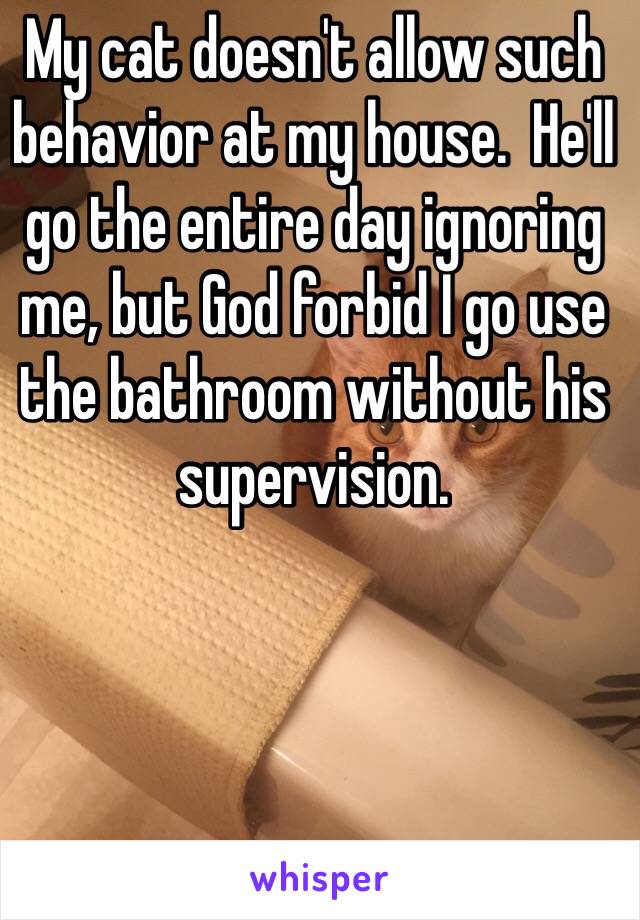 My cat doesn't allow such behavior at my house.  He'll go the entire day ignoring me, but God forbid I go use the bathroom without his supervision.  