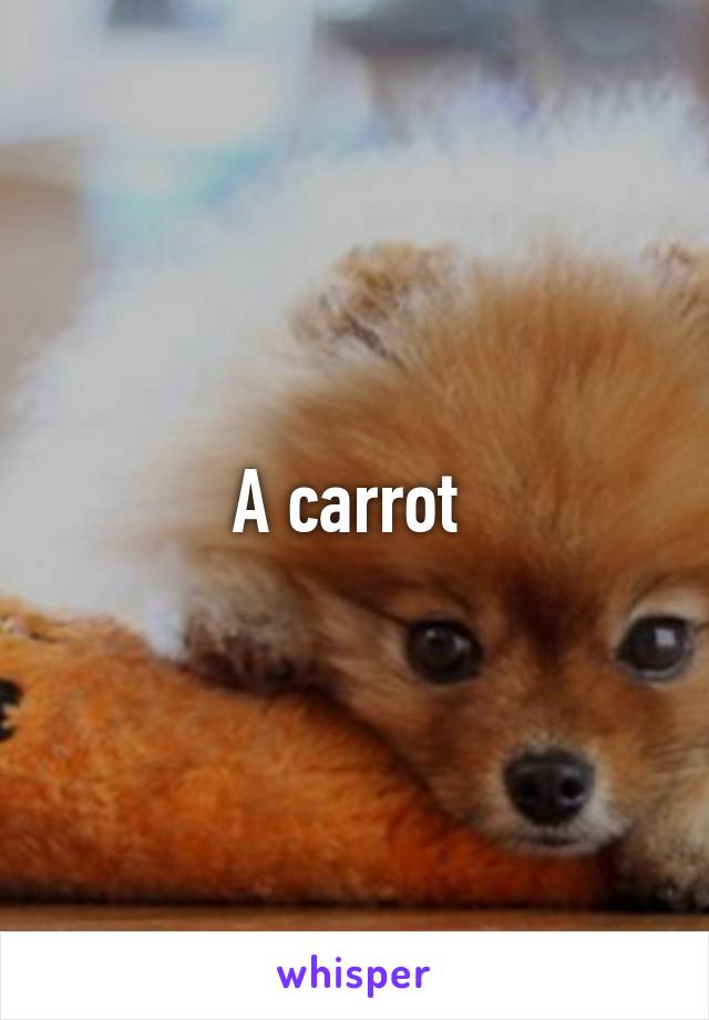 A carrot 