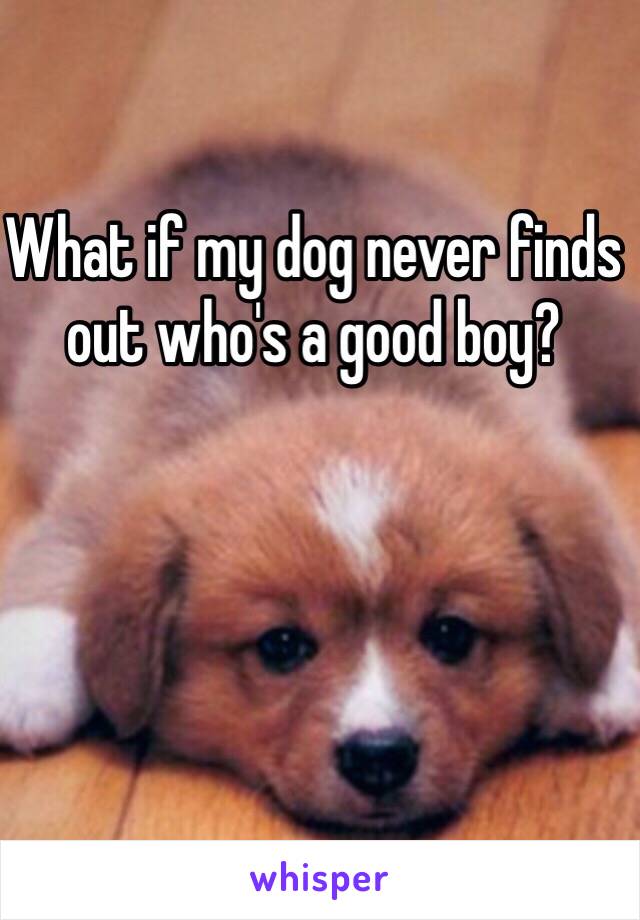 What if my dog never finds out who's a good boy? 