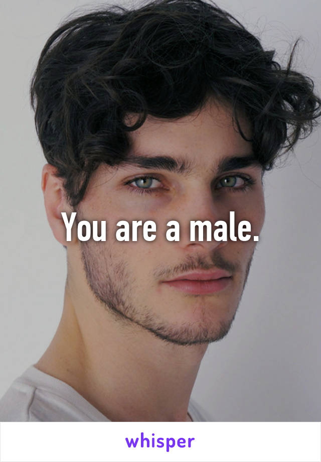 You are a male.