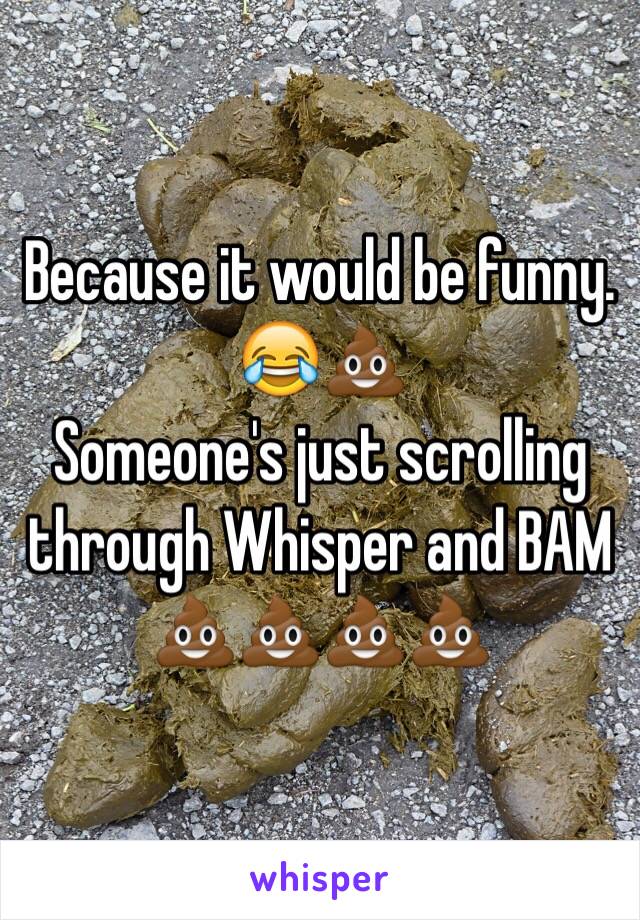 Because it would be funny. 😂💩 
Someone's just scrolling through Whisper and BAM 💩💩💩💩 