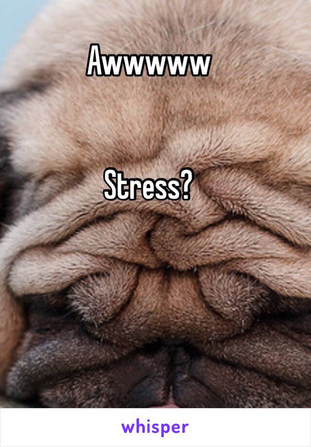 Awwwww


Stress?