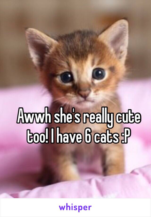 Awwh she's really cute too! I have 6 cats :P