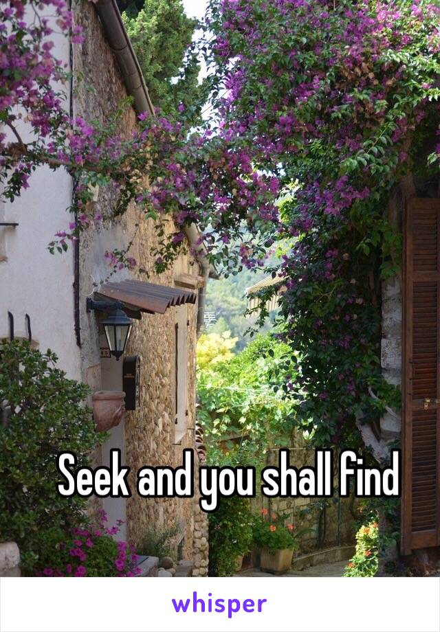 Seek and you shall find 