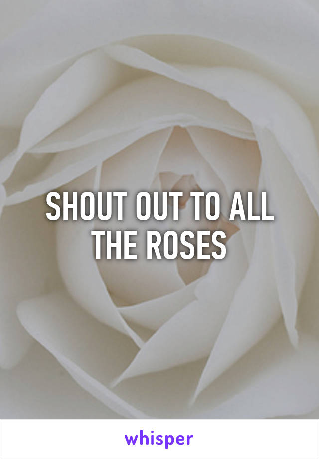 SHOUT OUT TO ALL THE ROSES