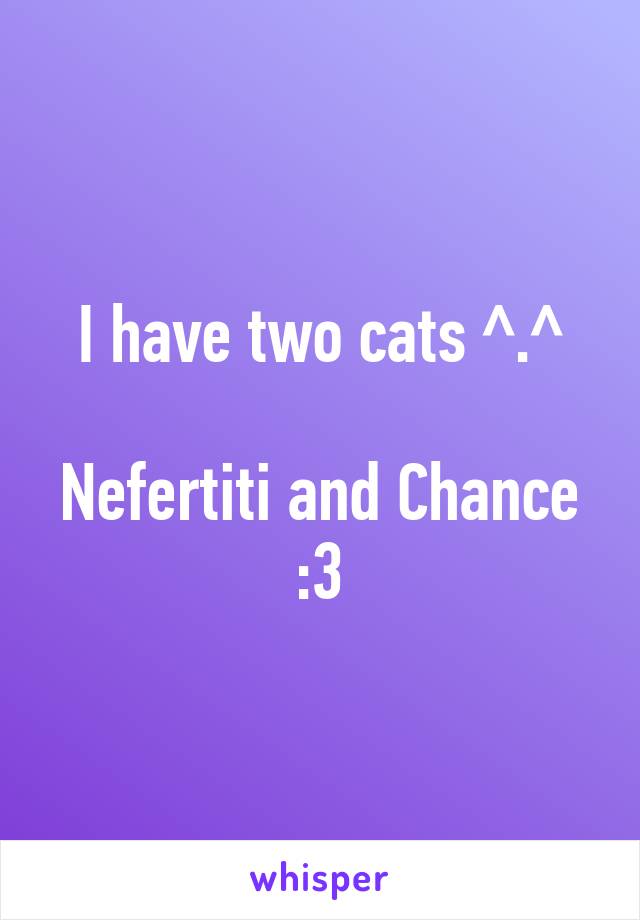 I have two cats ^.^

Nefertiti and Chance :3