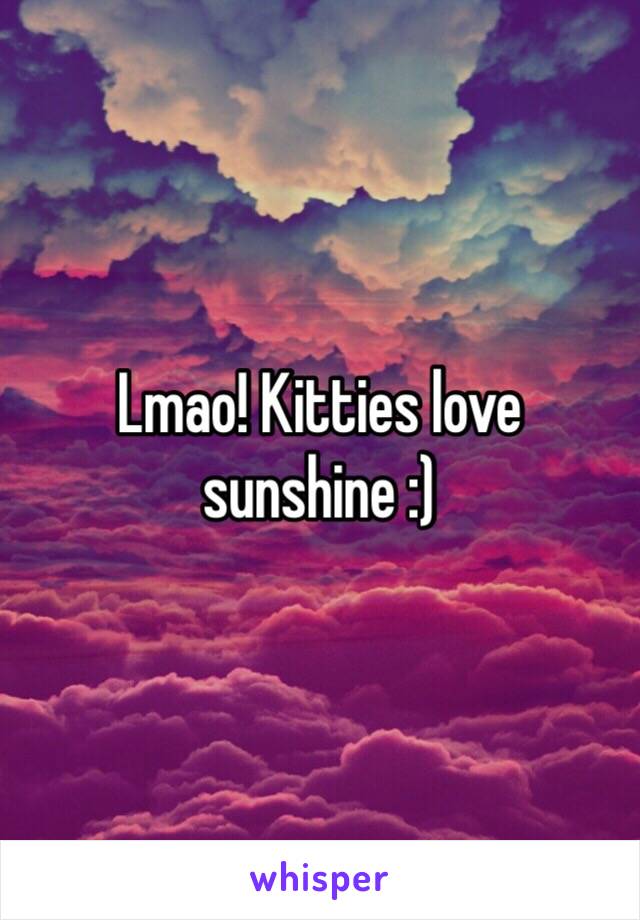 Lmao! Kitties love sunshine :)