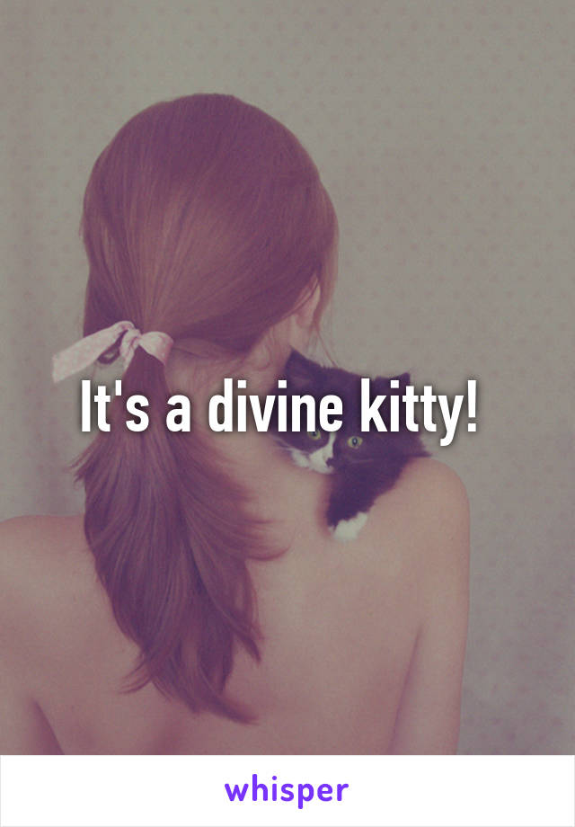 It's a divine kitty! 