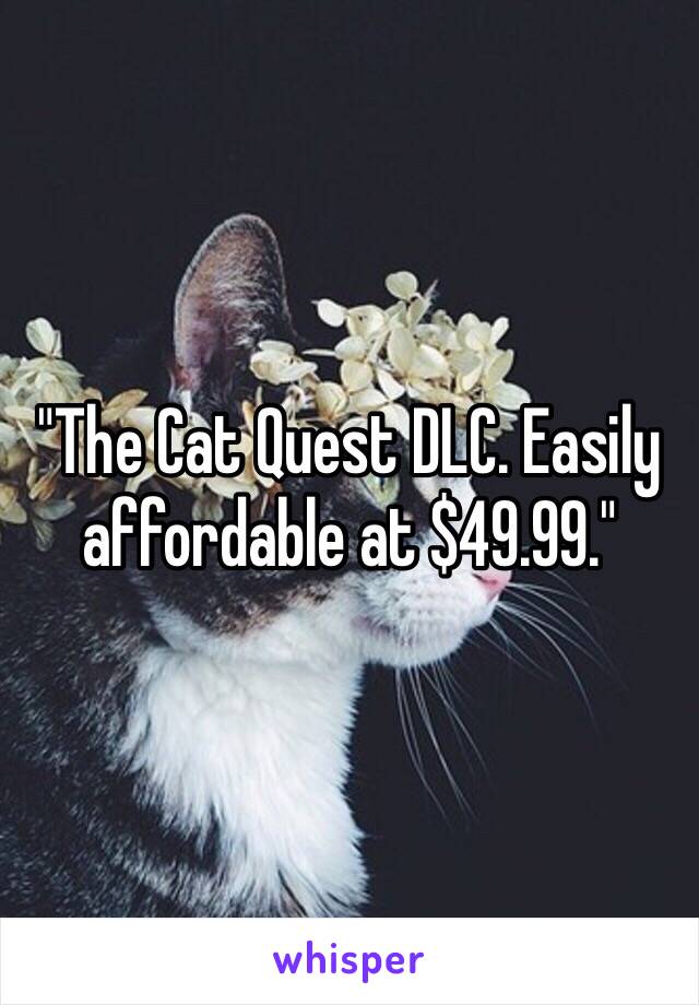 "The Cat Quest DLC. Easily affordable at $49.99."