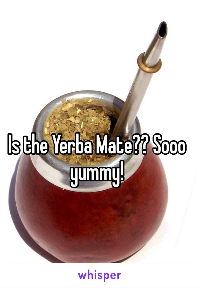 Is the Yerba Mate?? Sooo yummy!