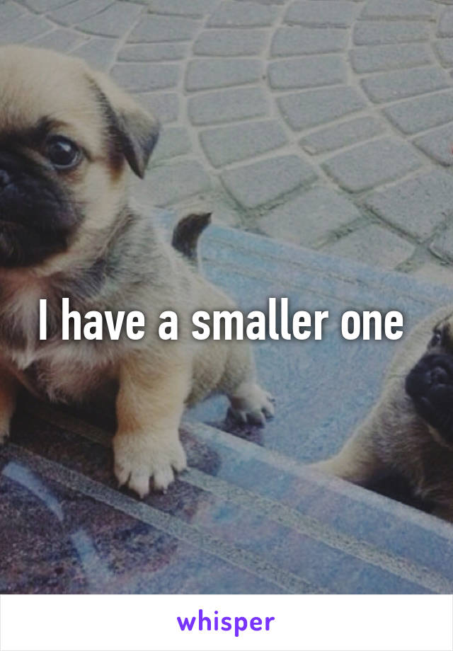 I have a smaller one 