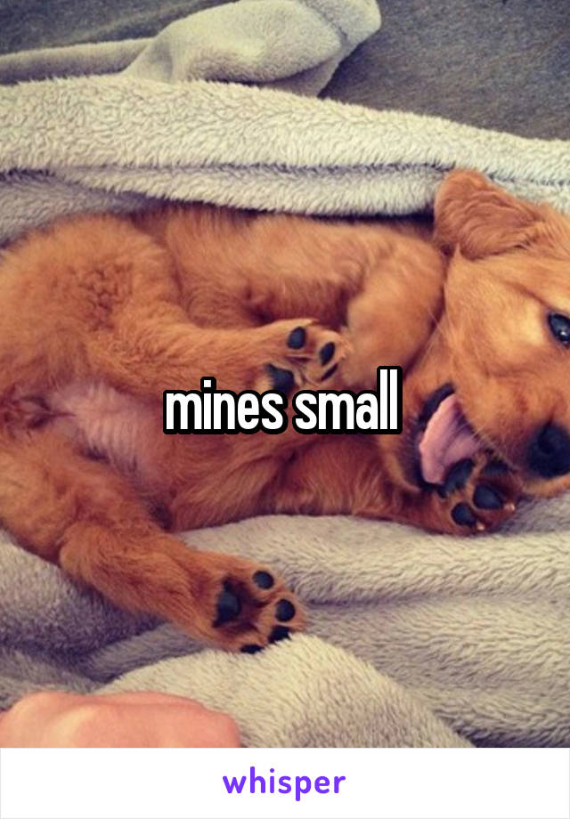 mines small 